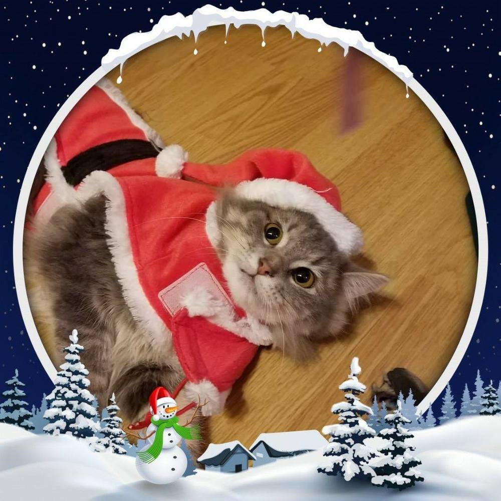 Meet your Posher, Shena